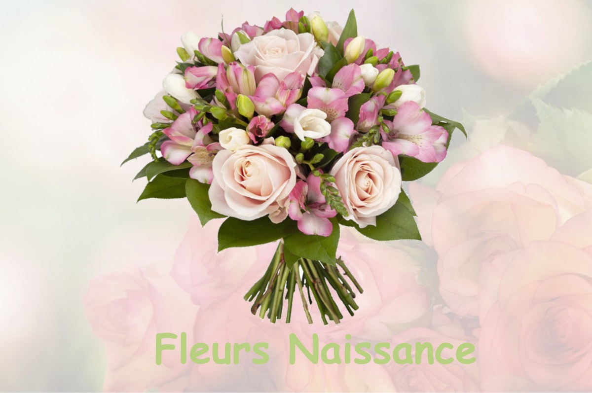 fleurs naissance MOULAINVILLE