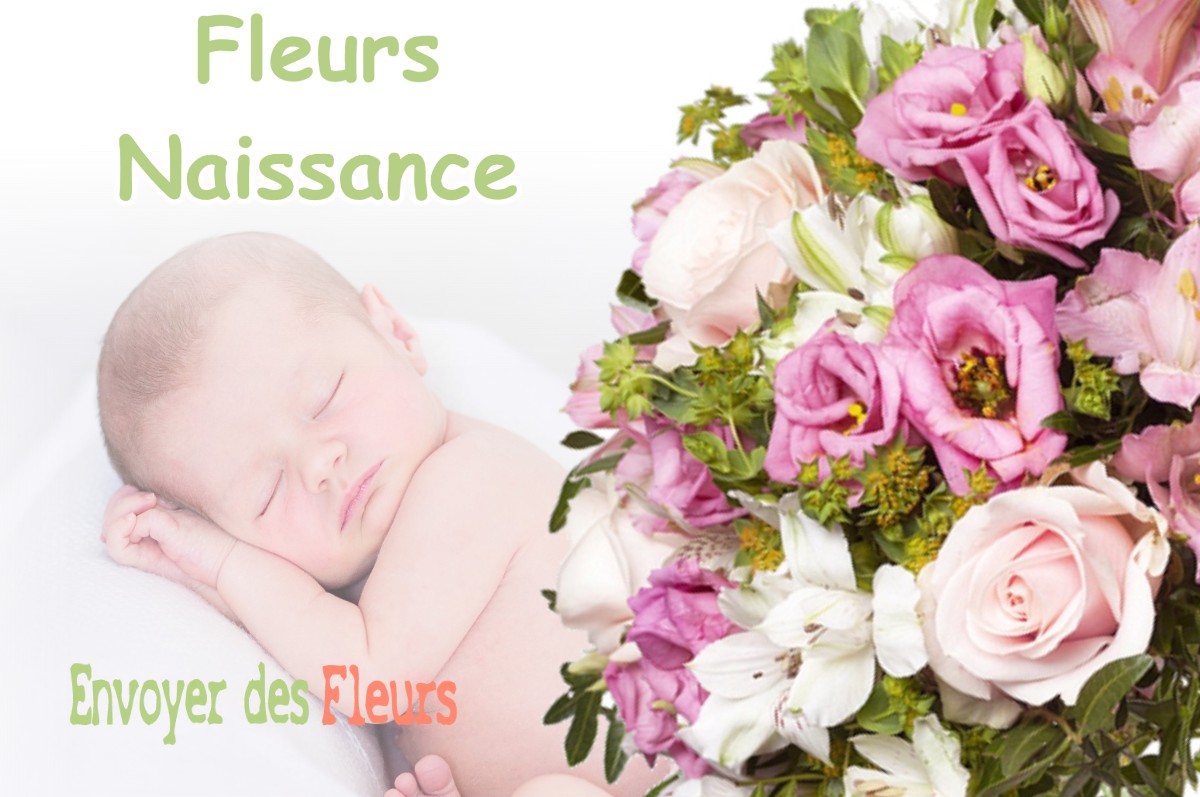 lIVRAISON FLEURS NAISSANCE à MOULAINVILLE